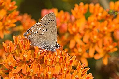 Steam展示庞大的盈利能力 2024年超200款新作发售首月吸金100万美元