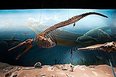 《魔兽世界》国服暗影国度：“永恒的终结”  2月24日上线